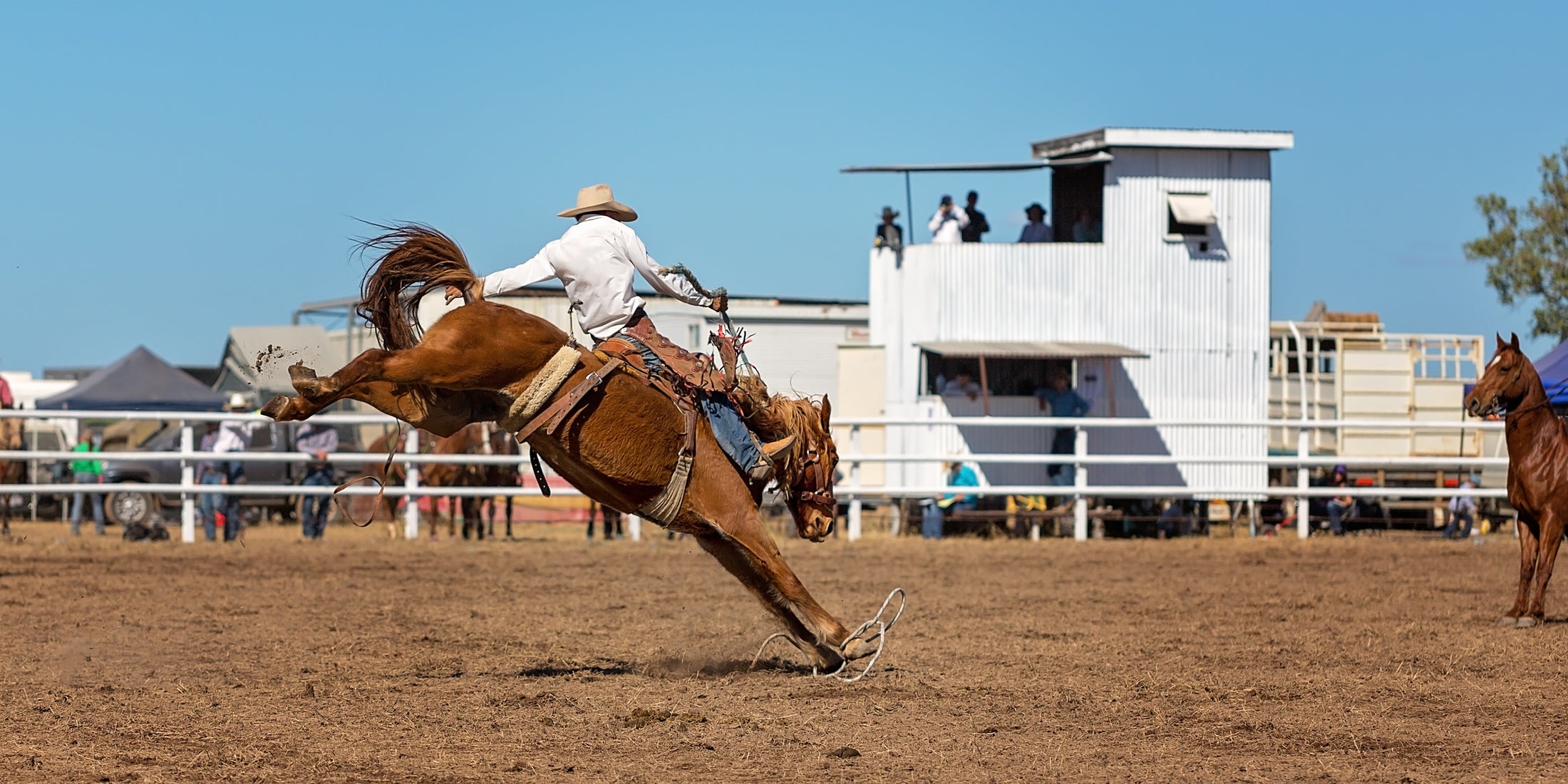 Rodeos 'N Revolutions image banner