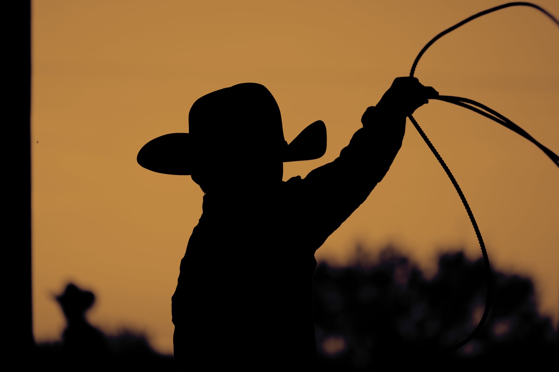 Editorial western brand signup image