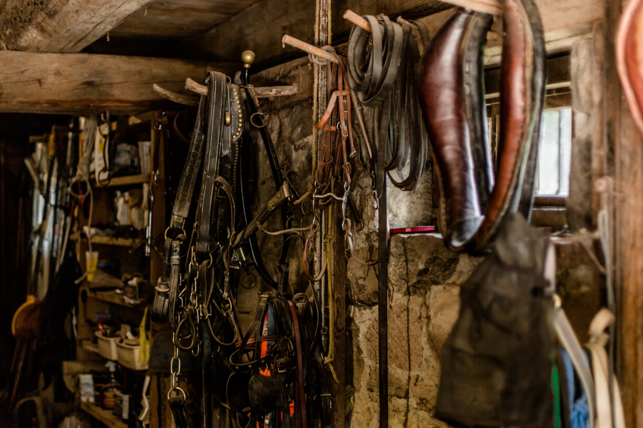 Rodeos 'N Revolutions collection image